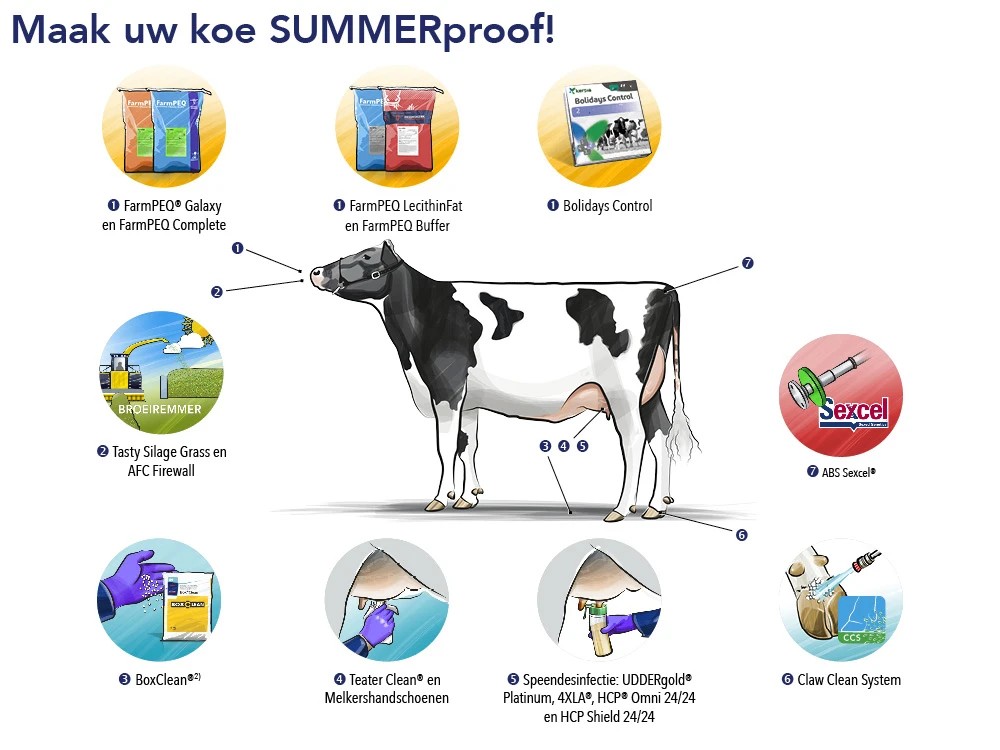 Maak uw koe SUMMERproof!