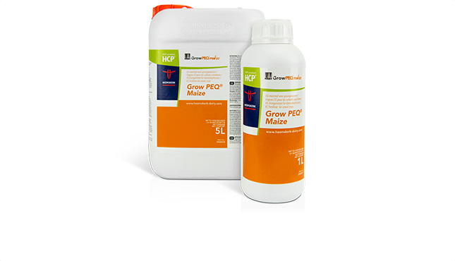 Grow PEQ Maize