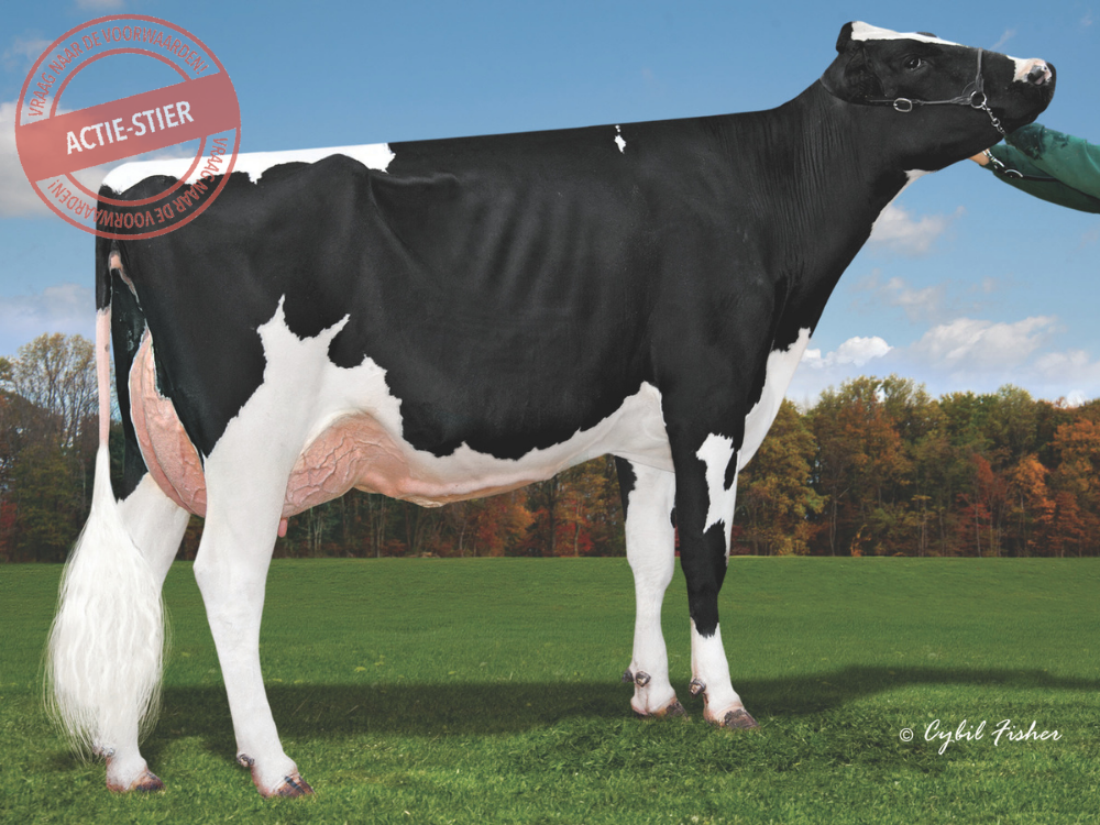 3RD DAM: Cookiecutter dta Habitan-ET EX-90