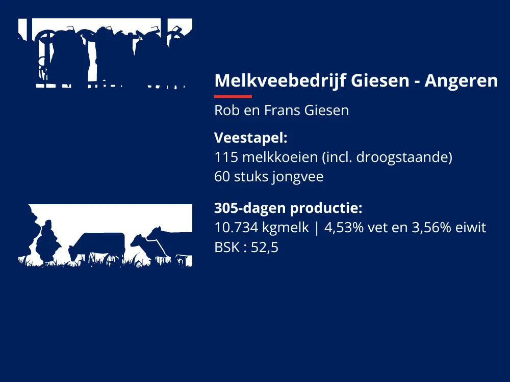 Bedrijfsgegevens Giesen
