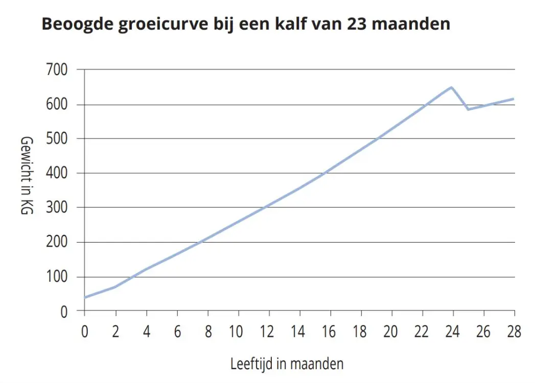 Beoogde groeicurve bij een kalf van 23 maanden