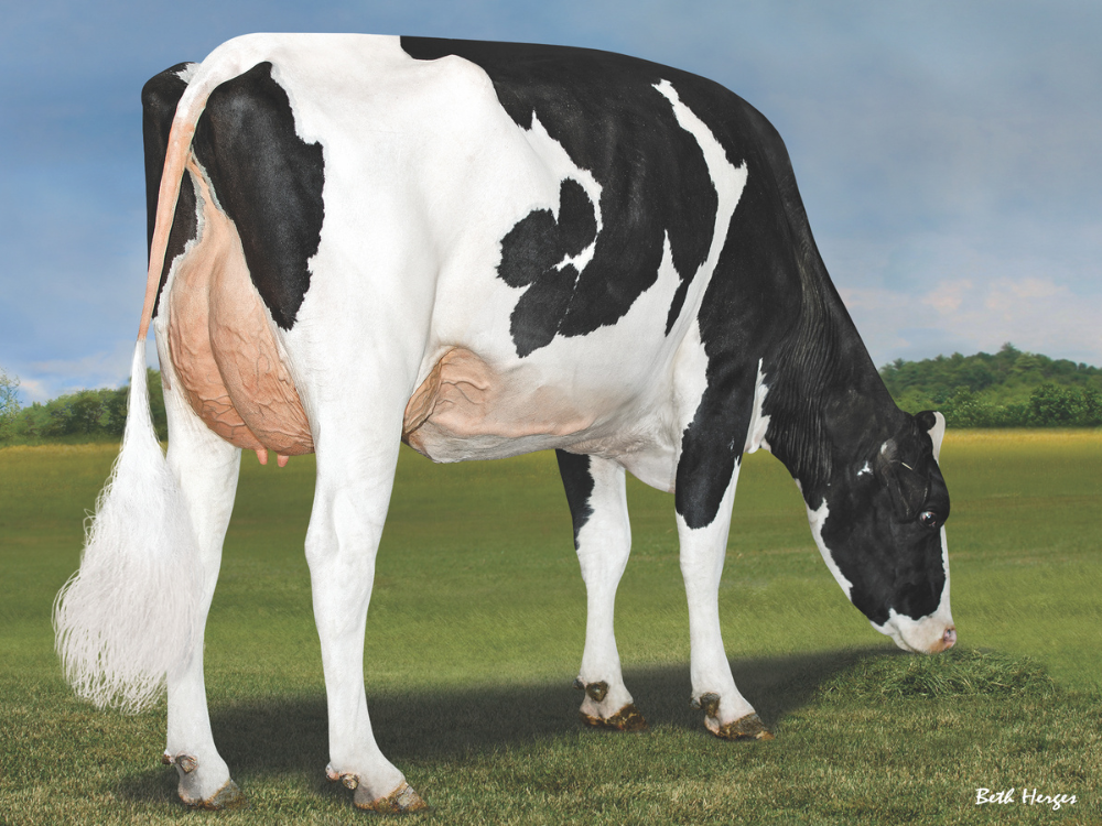 Grootmoeder Getaway: Bomaz Yode 8519-ET VG87