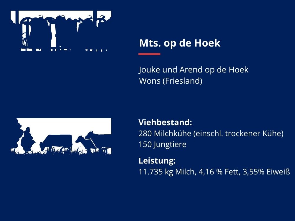 Daten zu Unternehmen Mts. op de Hoek
