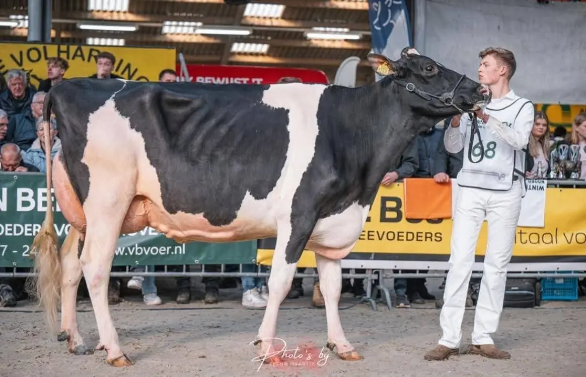 Dreambigdochter MPS Emeraude van familie Spaander uit Berkhout (Foto Fleur Maartje Bakker)