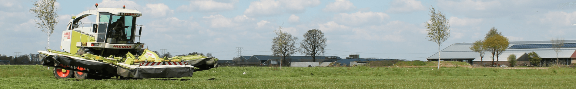 Gras hakselen