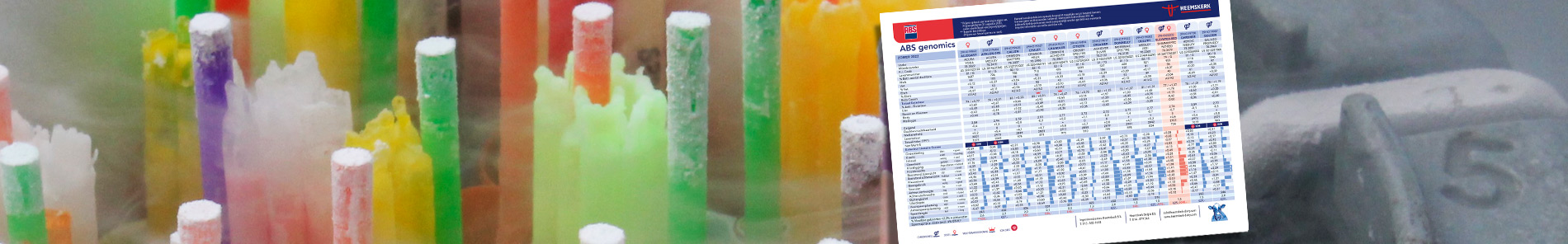 Heemskerk Stierkarte ABS Genomics Beispiel