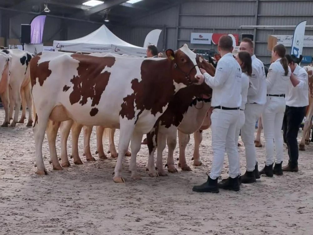 Foto_Ganseys_Bo_18_v._Rubels-Red_eig._Mts_Menkveld_Lutjewinkel_foto_Fleur_Maartje_Bakker.jpg