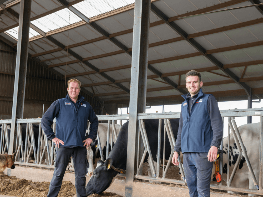 V.O.F. Mooren in Haps; Coen Mooren en Herdmanager Daan 