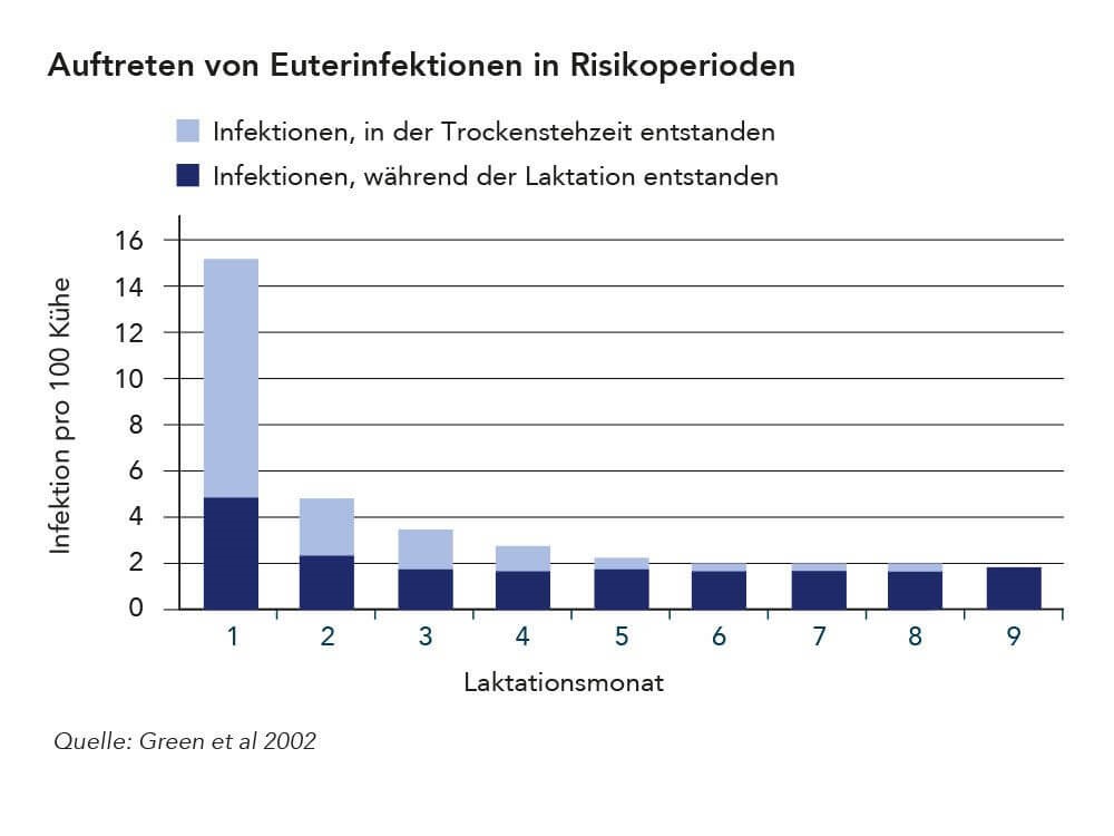 Grafik: Auftreten von Euterinfektionen in Risikoperioden
