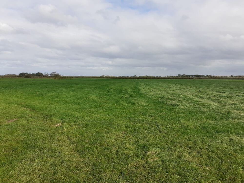 Grasland_Behandeld(R)_Onbehandeld