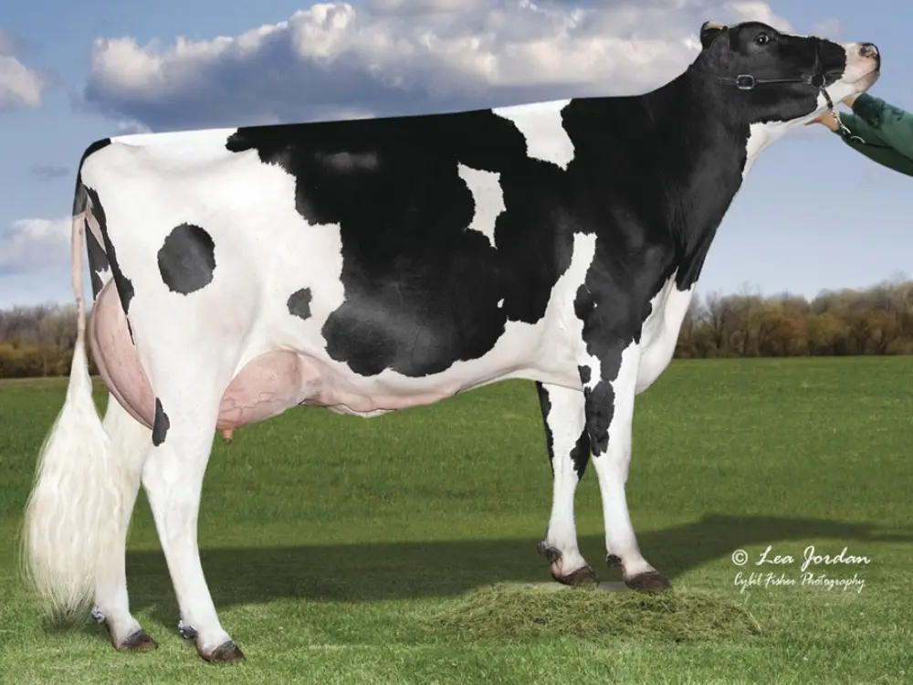 Grootmoeder Gotcha : Preston S-S-I 5716 23054-ET VG-88