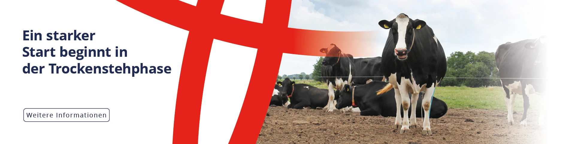 HK_Droogstand_2026_1900x482_DE.webp