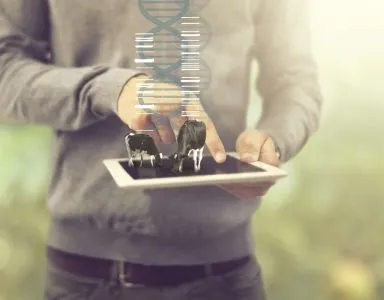 Minder jongvee opfokken,  meer rendement uit uw genetica