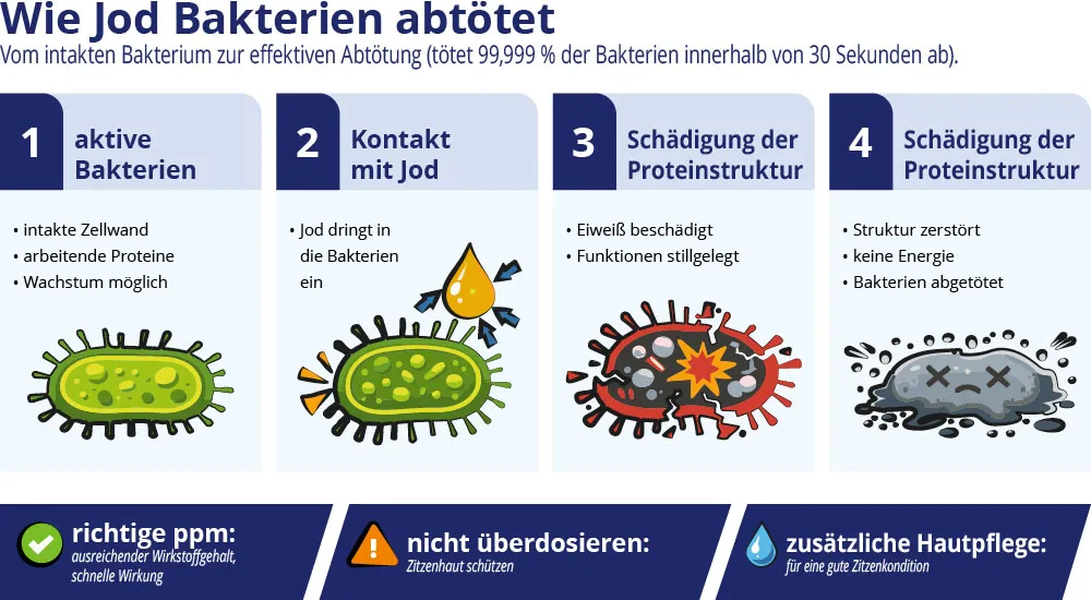 Wie wirkt Jod?