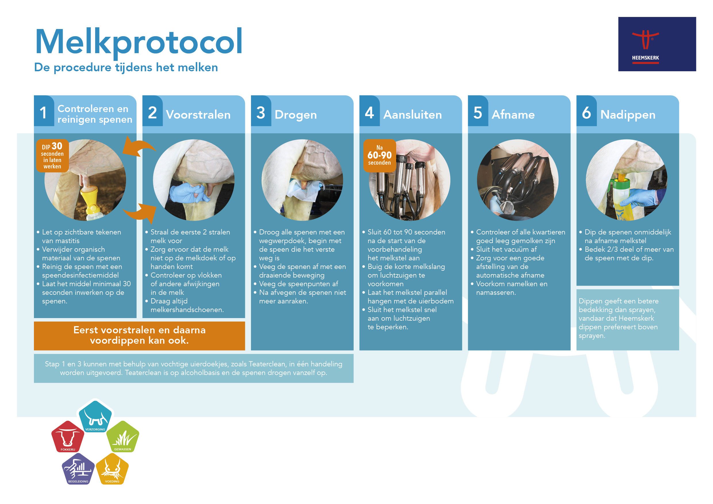 Heemskerk Melkprotocool - De procedure tijdens het melken