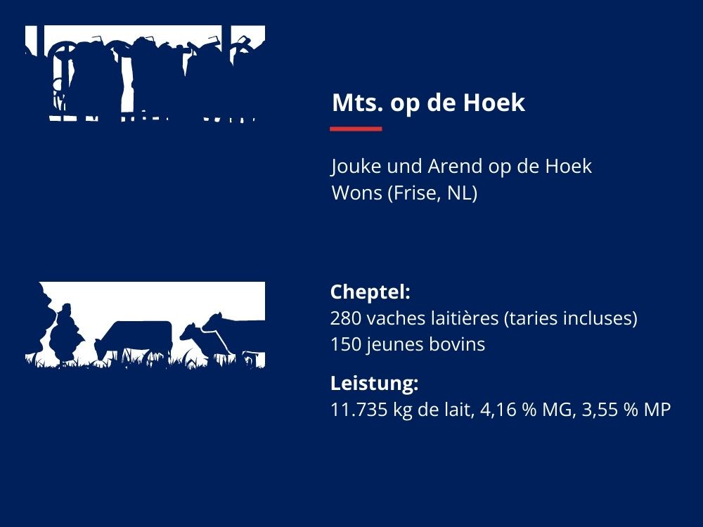 naw-data Mts. op de Hoek