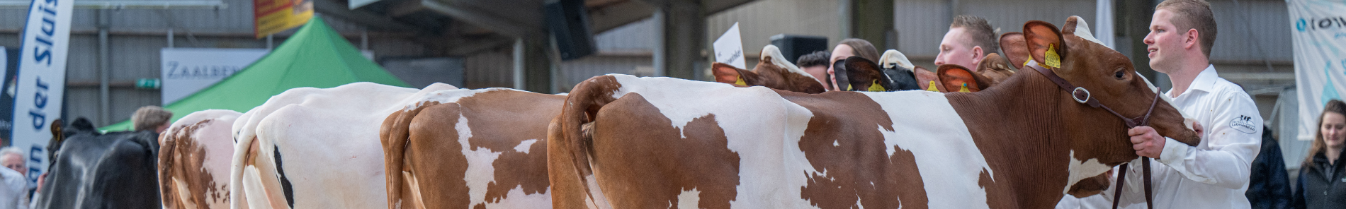 Wintershow Middenmeer 2025