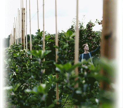 Herobanner Heemskerk Wood - Jardiniers, Clôture, Paddock