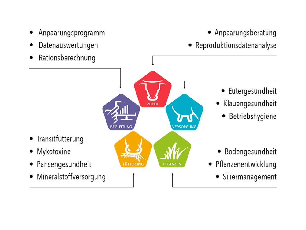 HK_conceptoverzicht_DE_AFB.jpg