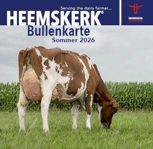 Bullenkarte Somer 2026