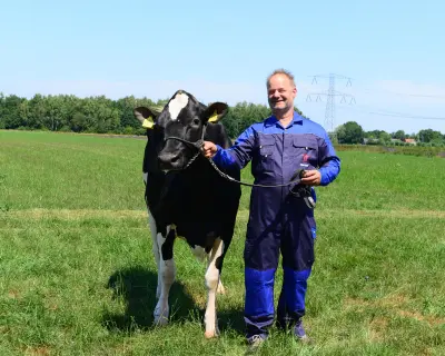 Empowerdochters American Holstein op de nieuwe stierenkaart