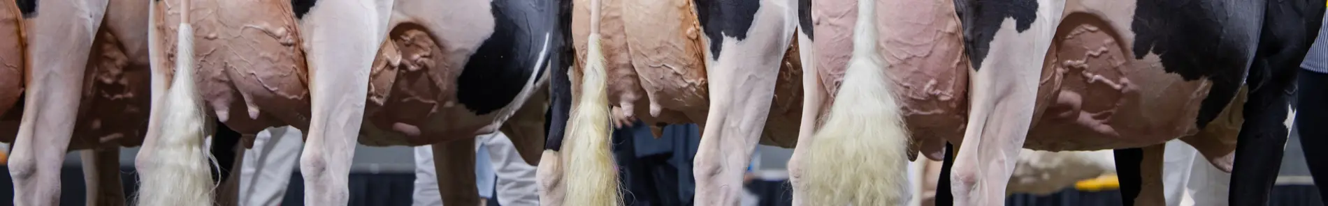 Keuringstype fokken zonder in te leveren op productie en gebruiksgemak