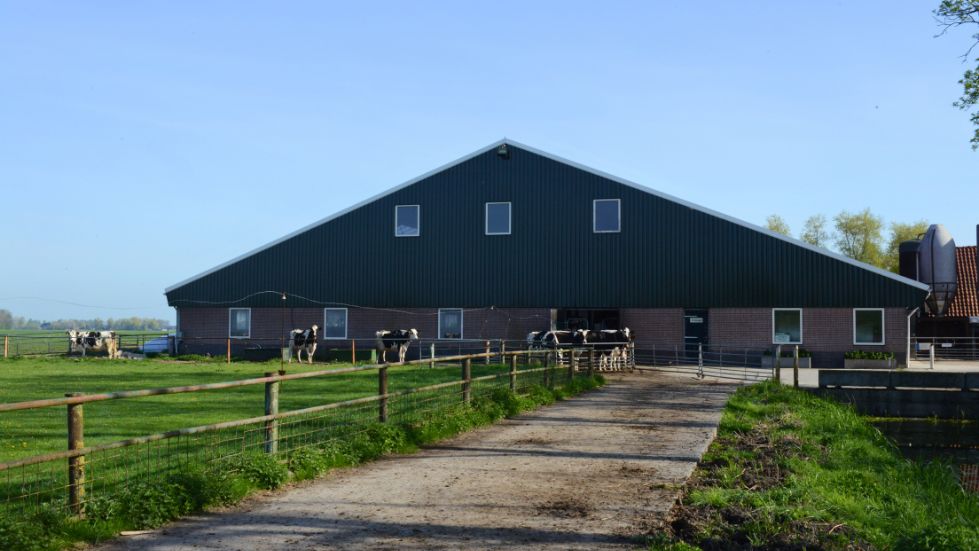 Ligboxenstal Melkveebedrijf Dijkman