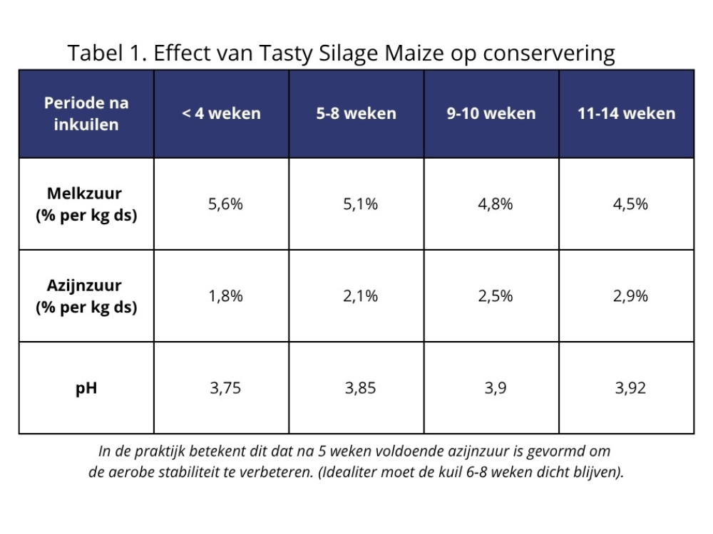 Effect van Tasty Silage Maize op conservering