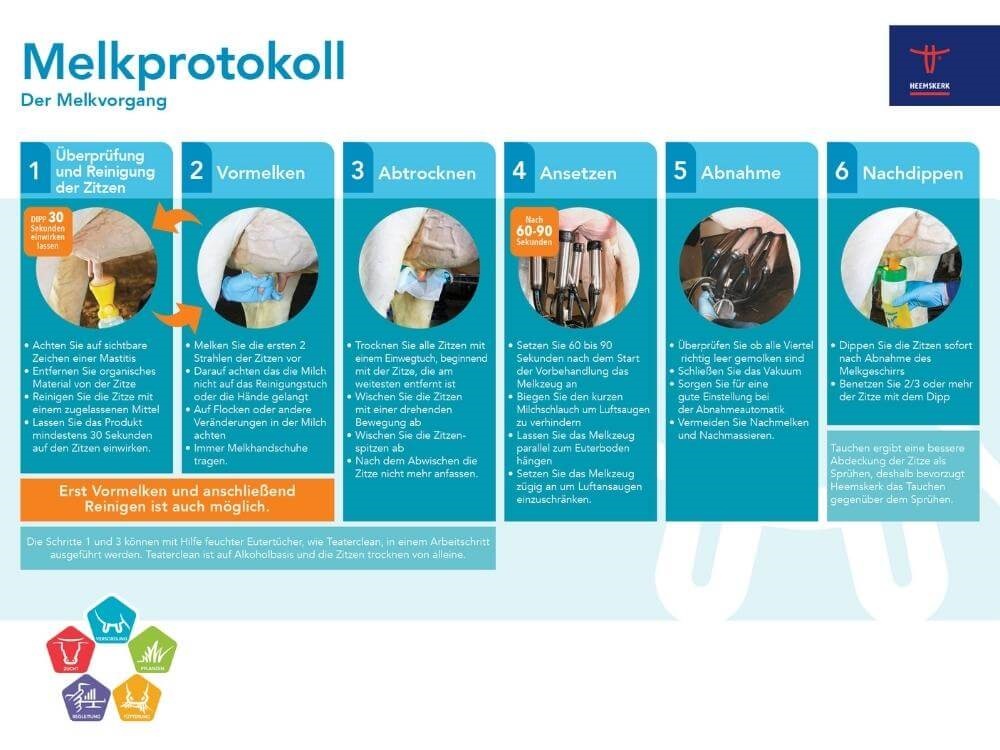 Heemskerk Melkprotokoll - Der Melkvorgang