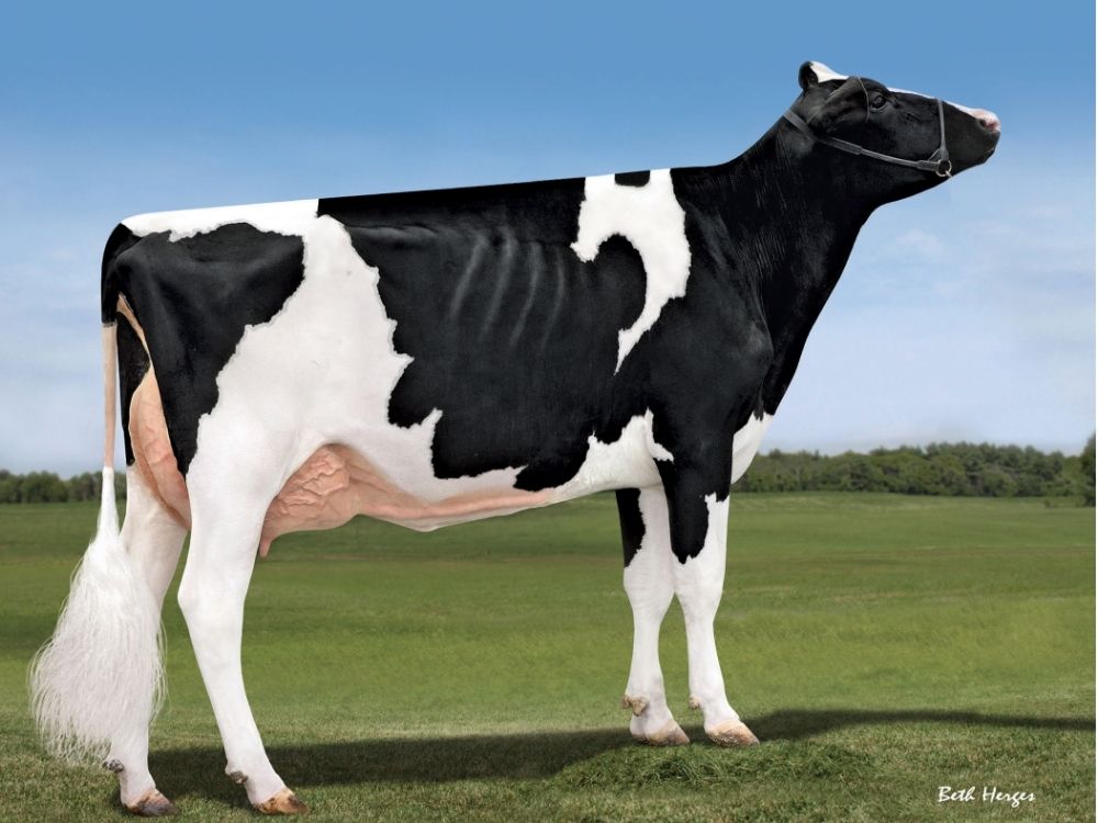 PeakCharm-ETVG85_AFB.jpg