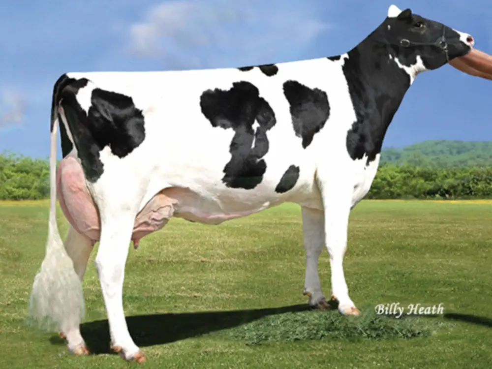 grootmoeder Barnes en Barker Pen-Col Legacy Best EX90.