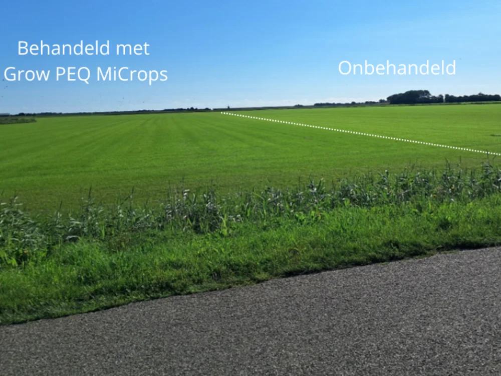 Perceel behandeld en onbehandeld