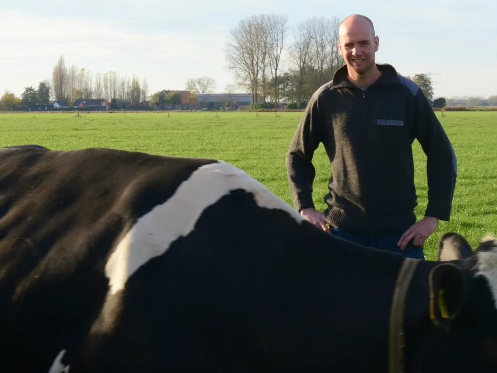 Resultaat project Agolin Ruminant: meer melk, hogere gehalten en stabielere koeien 