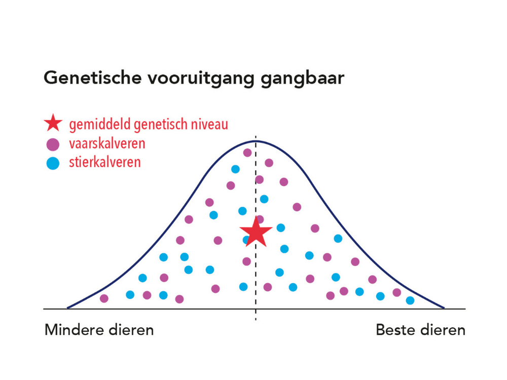 De genetische vooruitgang van gangbaar sperma