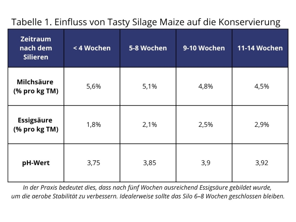 Effect van Tasty Silage Maize op conservering