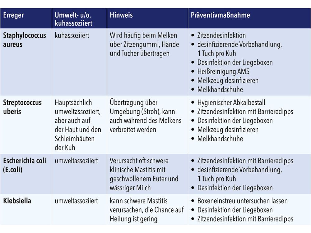 Tabel bacteriesoorten