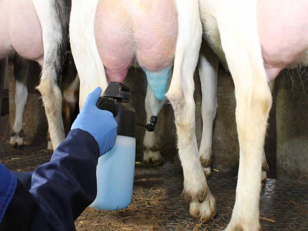 Spraymiddel 