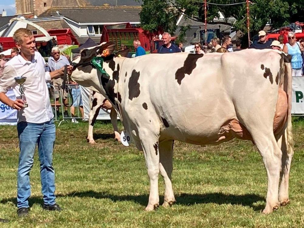Vrij Zwanenburg Darling 121