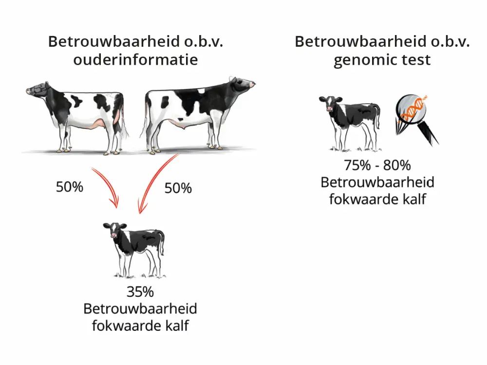 75% - 80% betrouwbaarheid o.b.v. genomic test