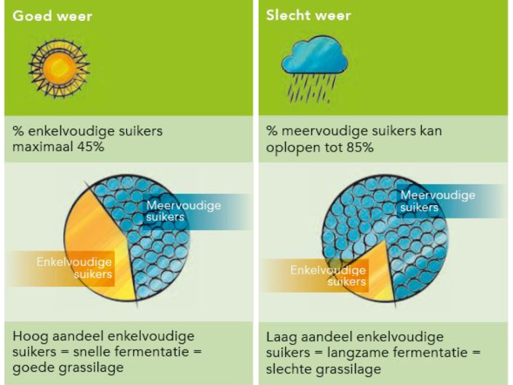 goed_slecht_weer.png