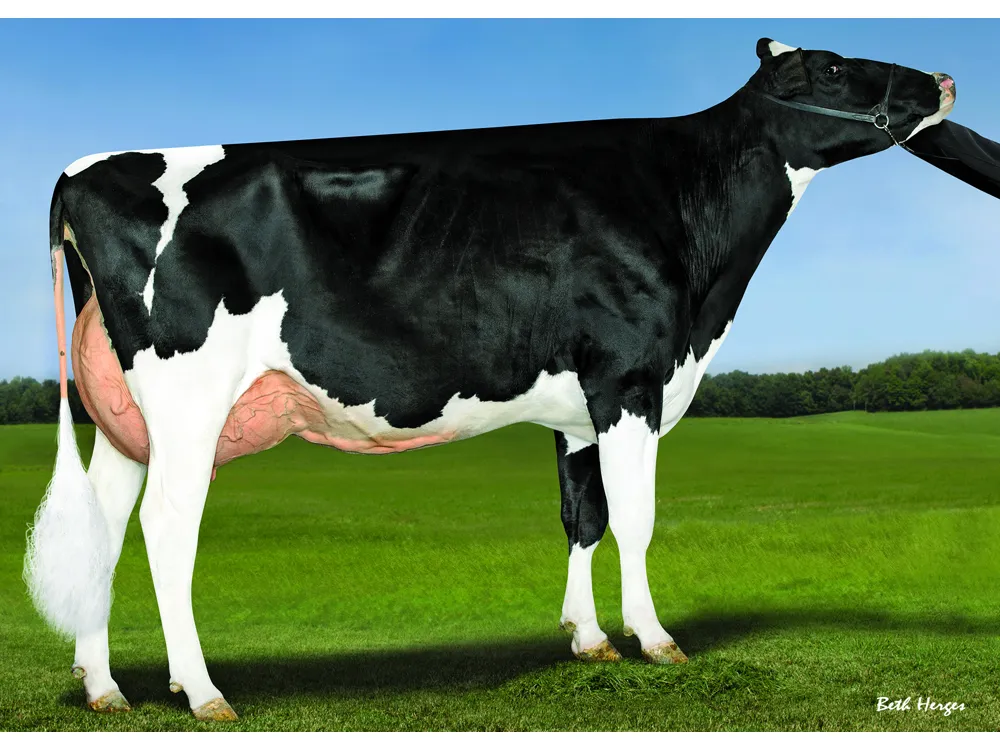 Overgrootmoeder Brevity Genosource Ncap 22267-ET EX-90