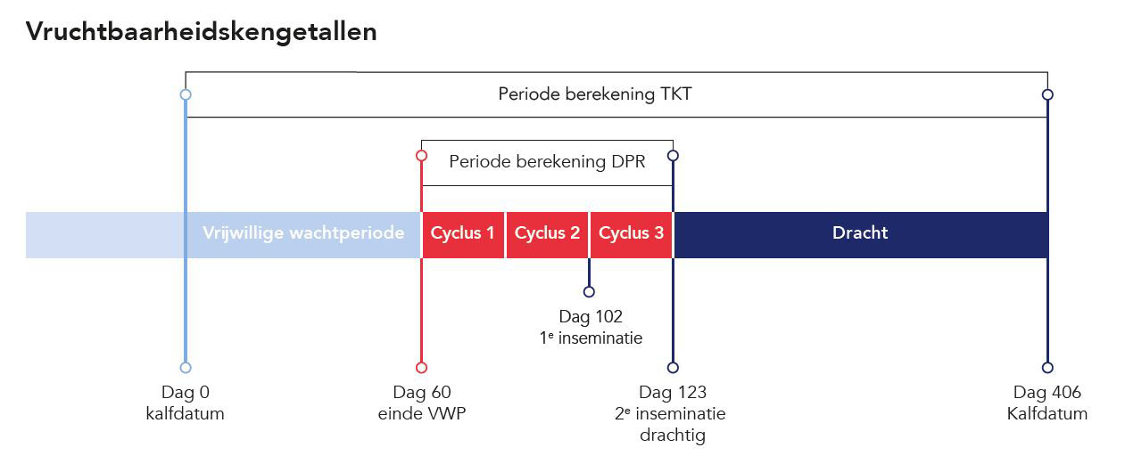 vruchtbaarheidskengetallen_2.JPG