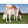 /static/uploads/pictures/mini/10053536_2.jpg