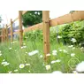 /static/uploads/pictures/mini/70010008_3.webp