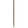 /static/uploads/pictures/mini/70010012_1.jpg