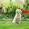 /static/uploads/pictures/mini/70010195_2.jpg