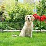 /static/uploads/pictures/mini/70010198_4.jpg