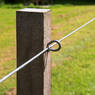 /static/uploads/pictures/mini/70010223_3.jpg