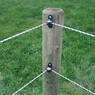 /static/uploads/pictures/mini/70010232_4.jpg