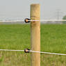 /static/uploads/pictures/mini/70010245_3.jpg